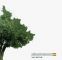 Akamassa - Tout est li� Image No 1